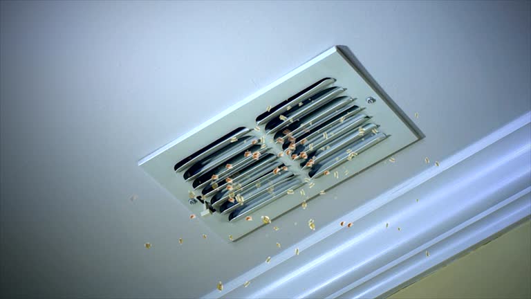 Best Ventilation Cleaning Services  in Forestde, AL
