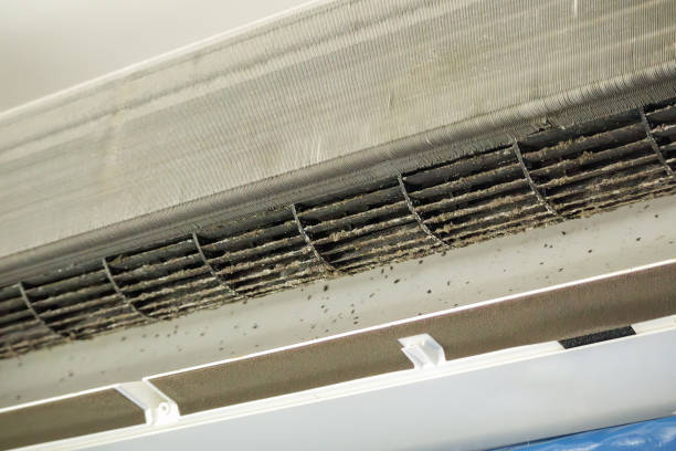 Best Professional Duct Cleaning Services  in Forestde, AL