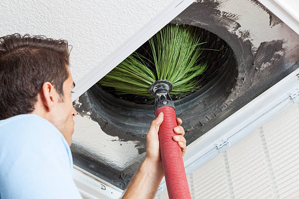 Best Affordable Air Duct Cleaning  in Forestde, AL